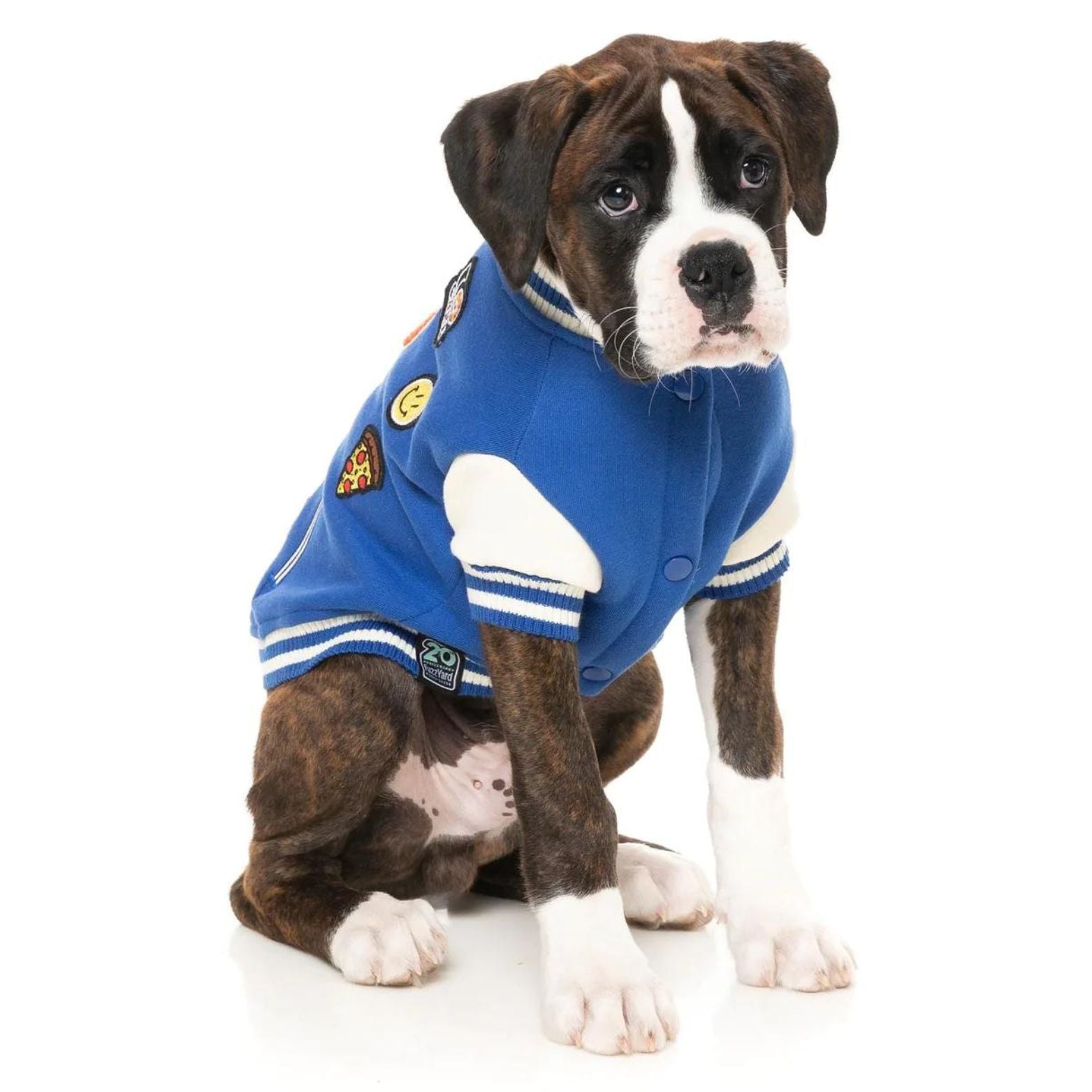 FuzzYard The Letterman College Style Dog Jacket Blue Peticular