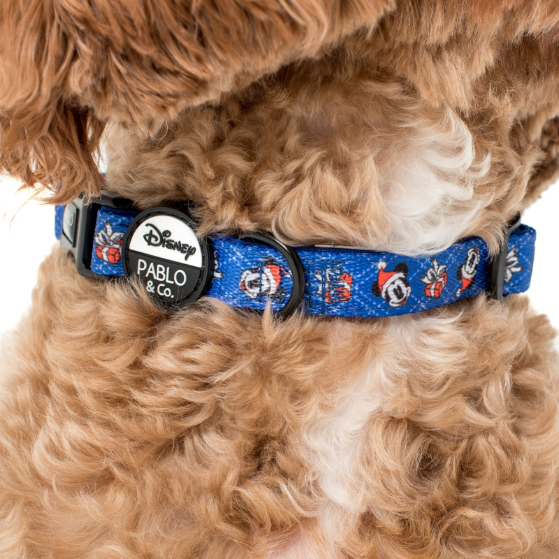 Disney dog outlet collar