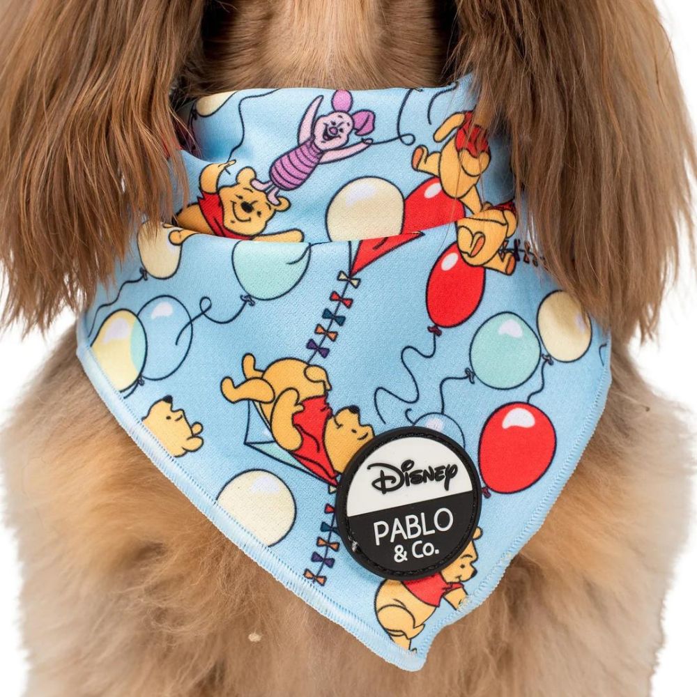 Pablo dog bandana sale