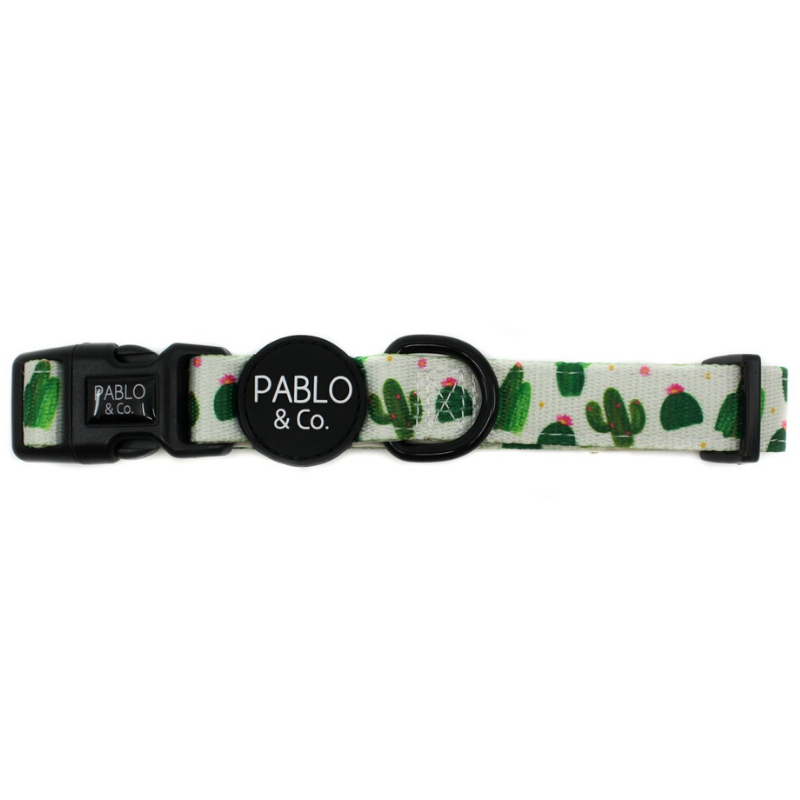 Cactus dog outlet collar