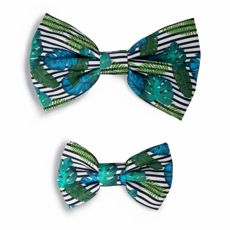 Petco shop bow tie