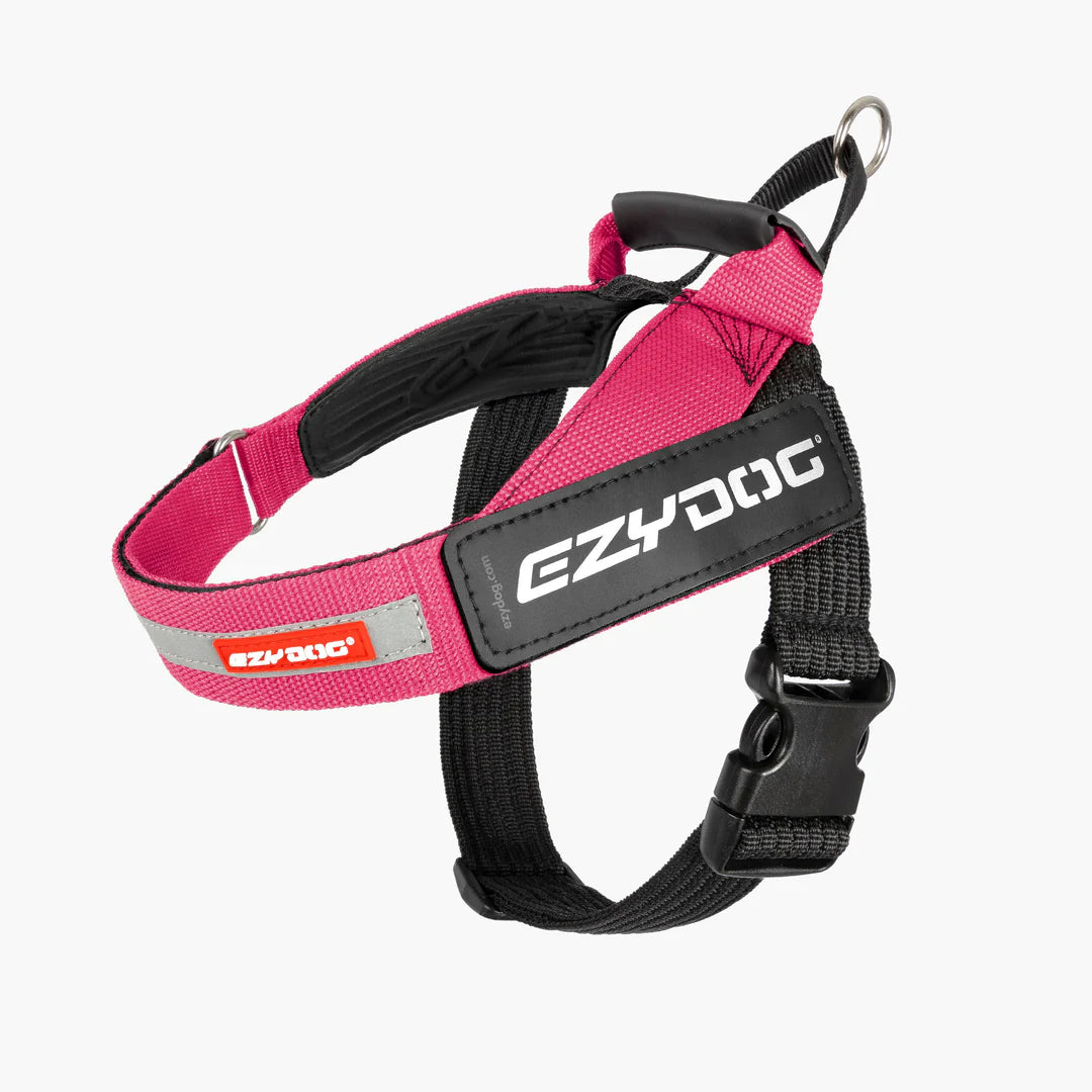 Express Harness