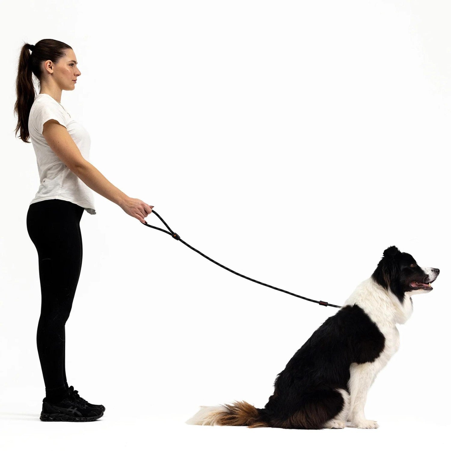 A dog leash best sale