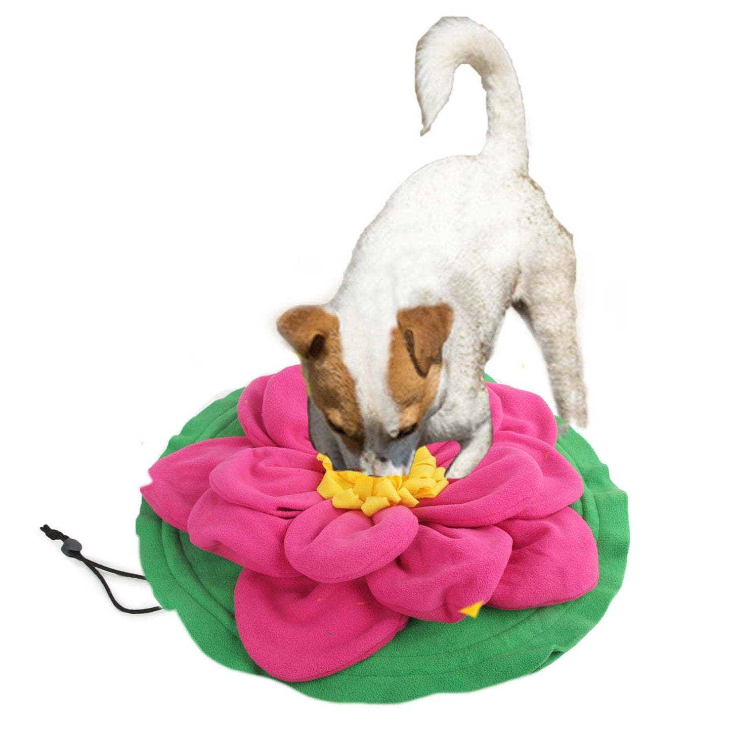 Foldable Snuffle Mat | Giant Lotus