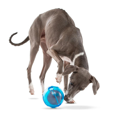 GURU Ball Dog Toy