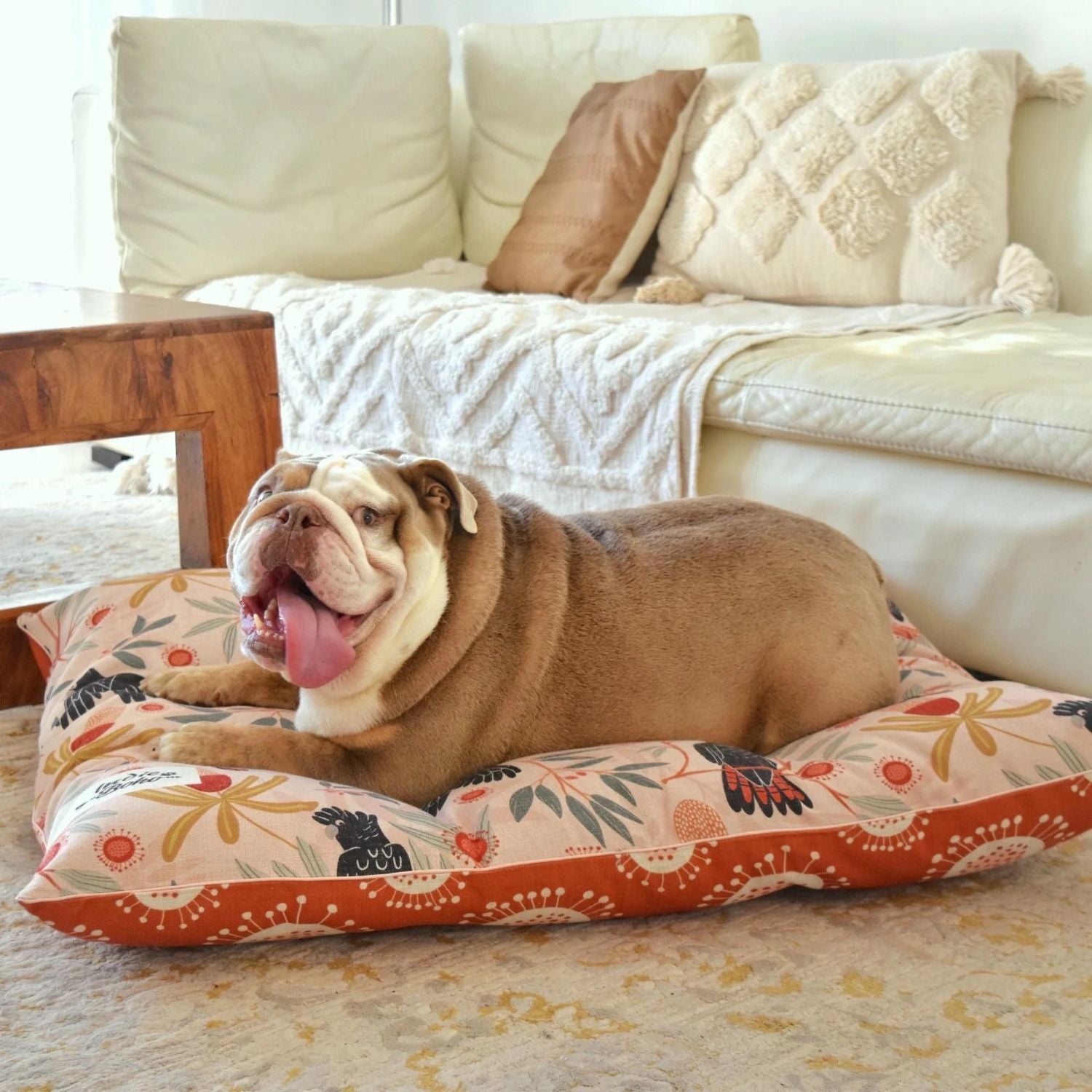 Boho dog deals bed