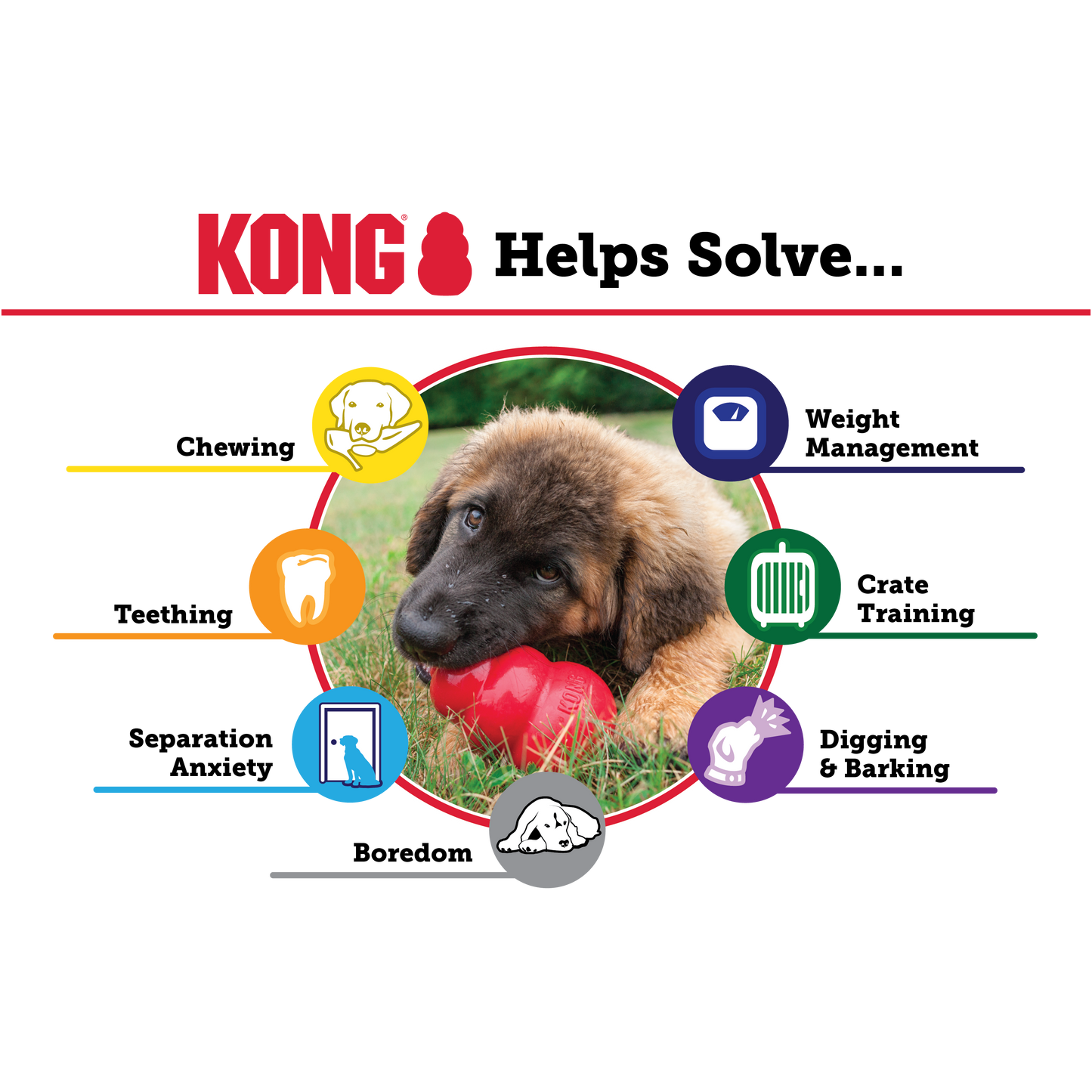 Kong - Kong