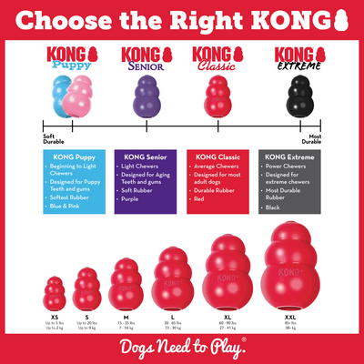 Kong - Kong