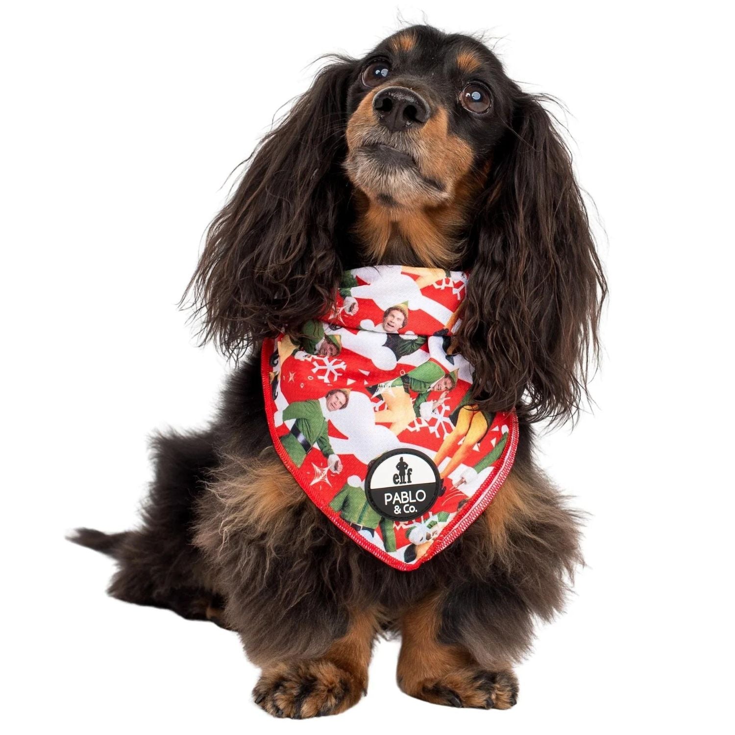 Elf dog sale bandana