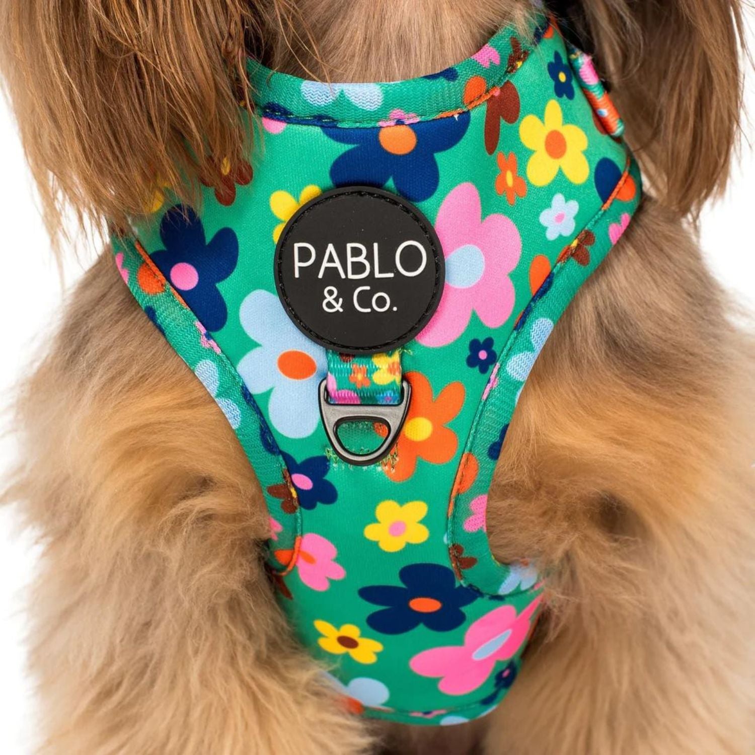 Funky 2024 dog harness