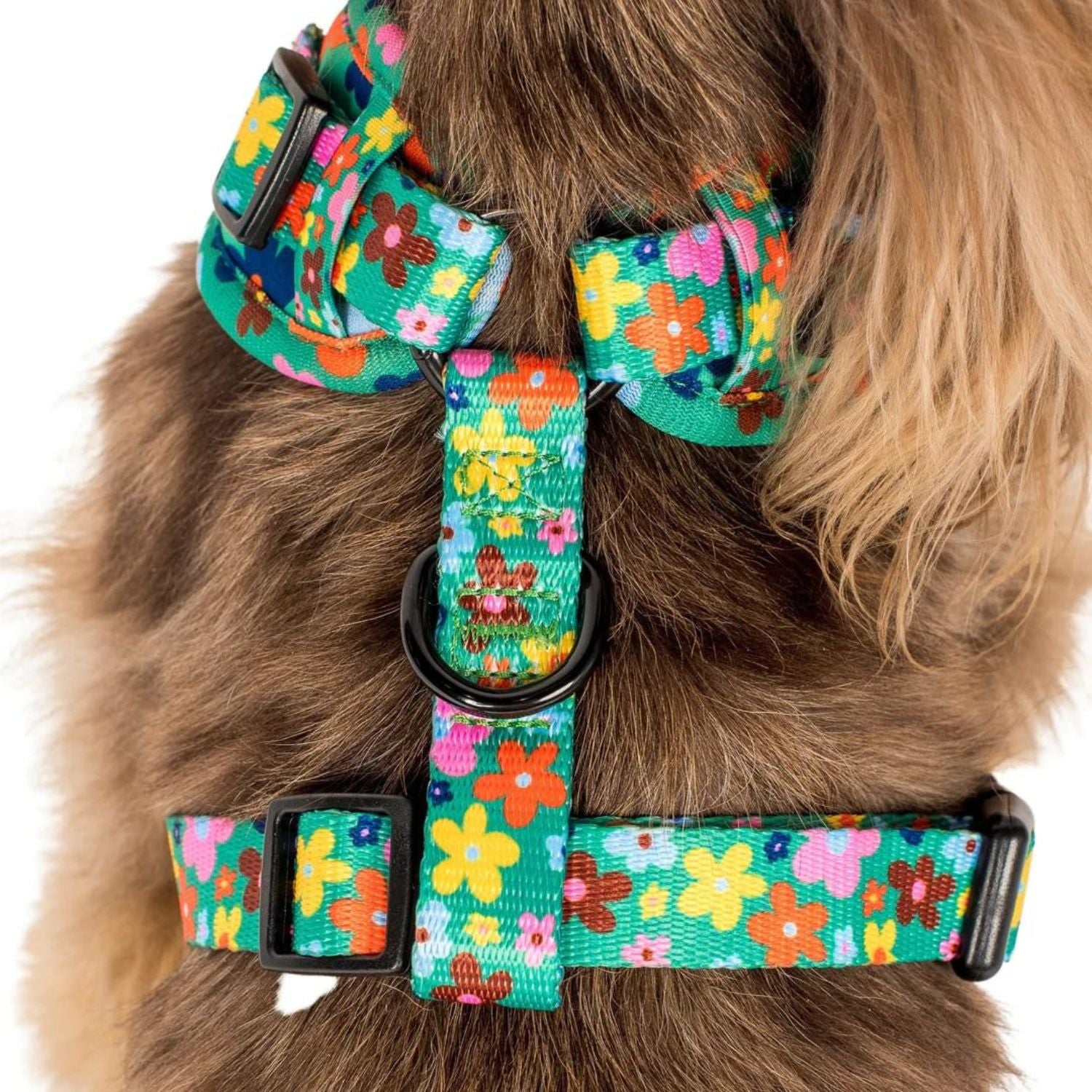 Funky 2024 dog harness