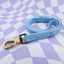 Sea Salt Waterproof Leash