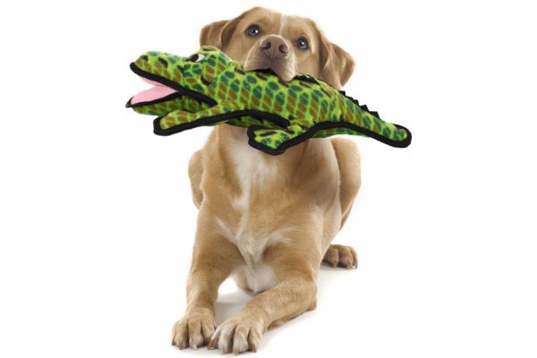 Peticular Dog And Cat Accessories For Particular Pet People