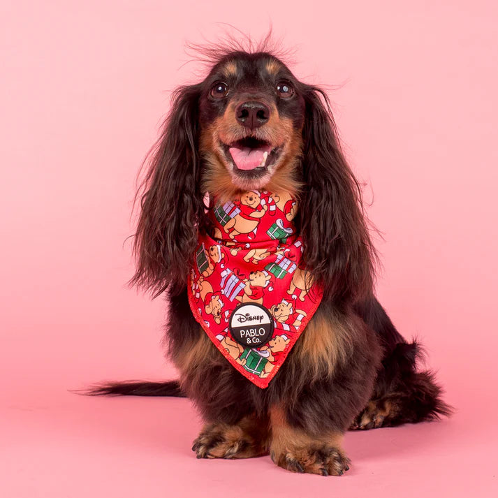 Pooh's Christmas | Dog Bandana