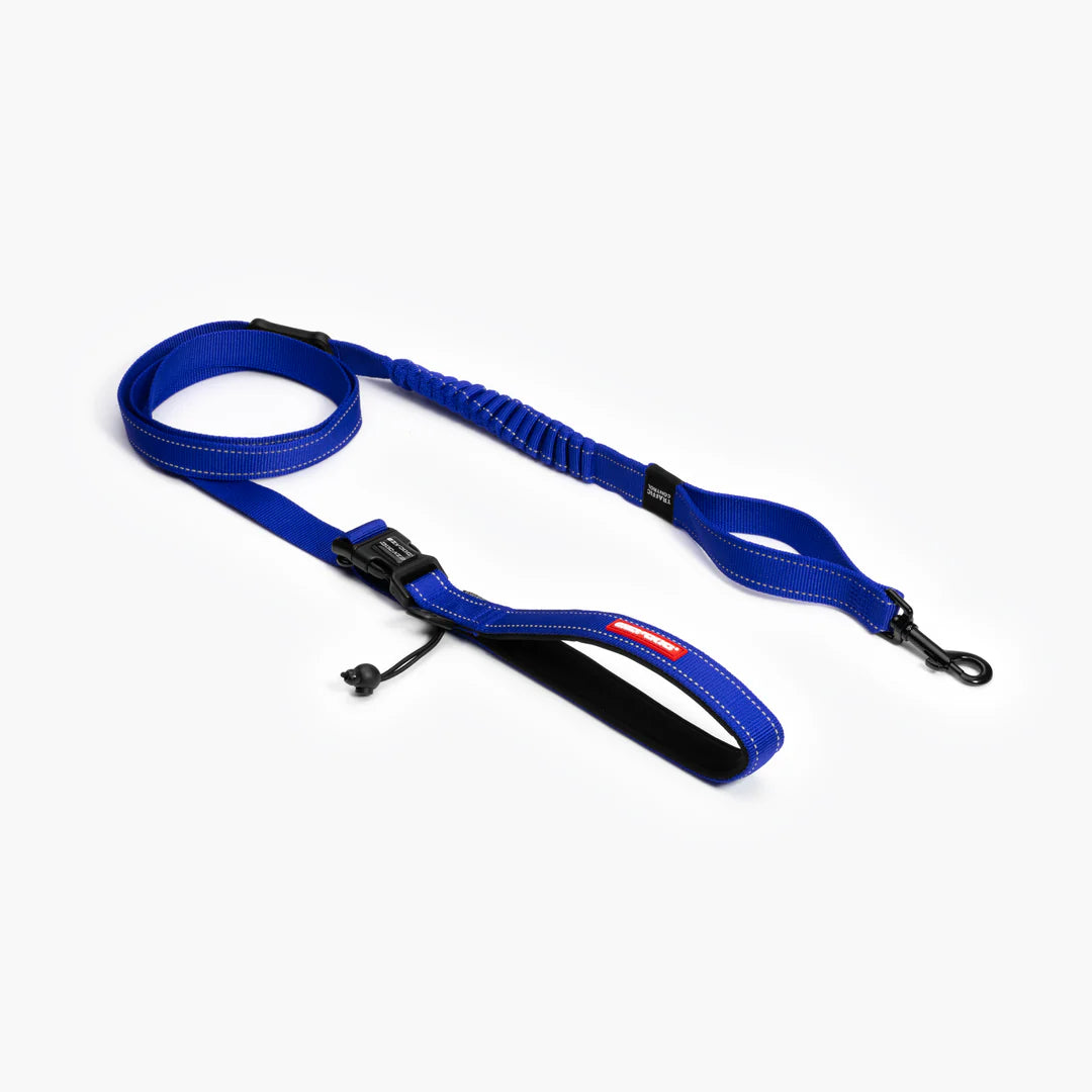 Road Runner Dog Leash