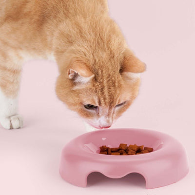 Kitty Bowl | Pink