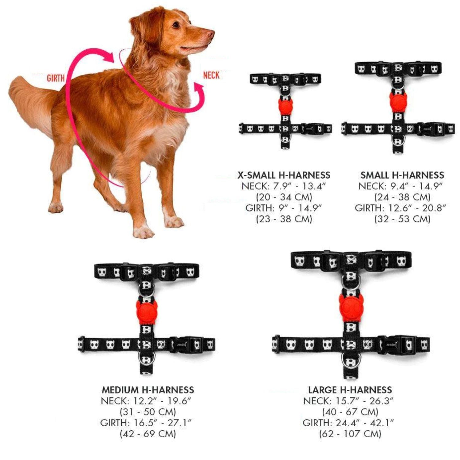 H 2024 harness dog