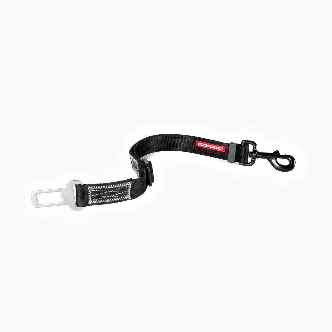 Adjustable Car Restraint