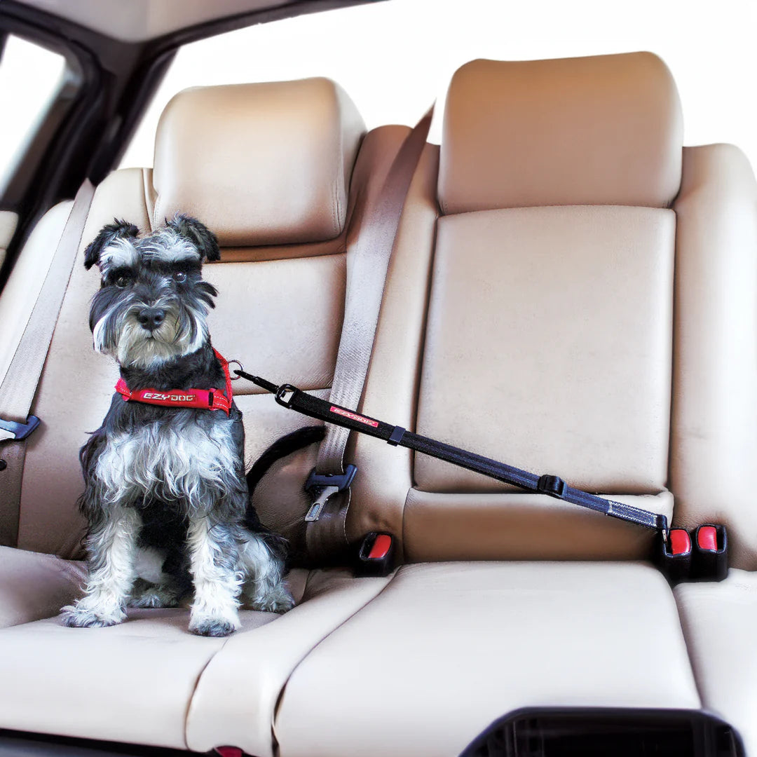 Adjustable Car Restraint