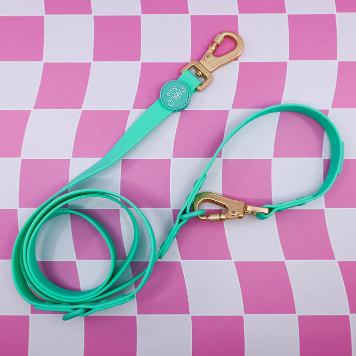 Peppermint Waterproof Multifunction Leash