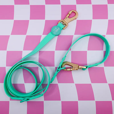 Peppermint Waterproof Multifunction Leash