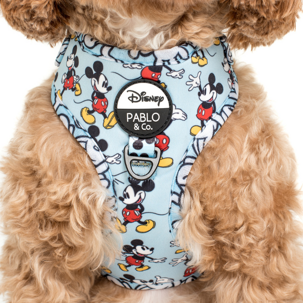 Mickey mouse 2025 harness for dogs