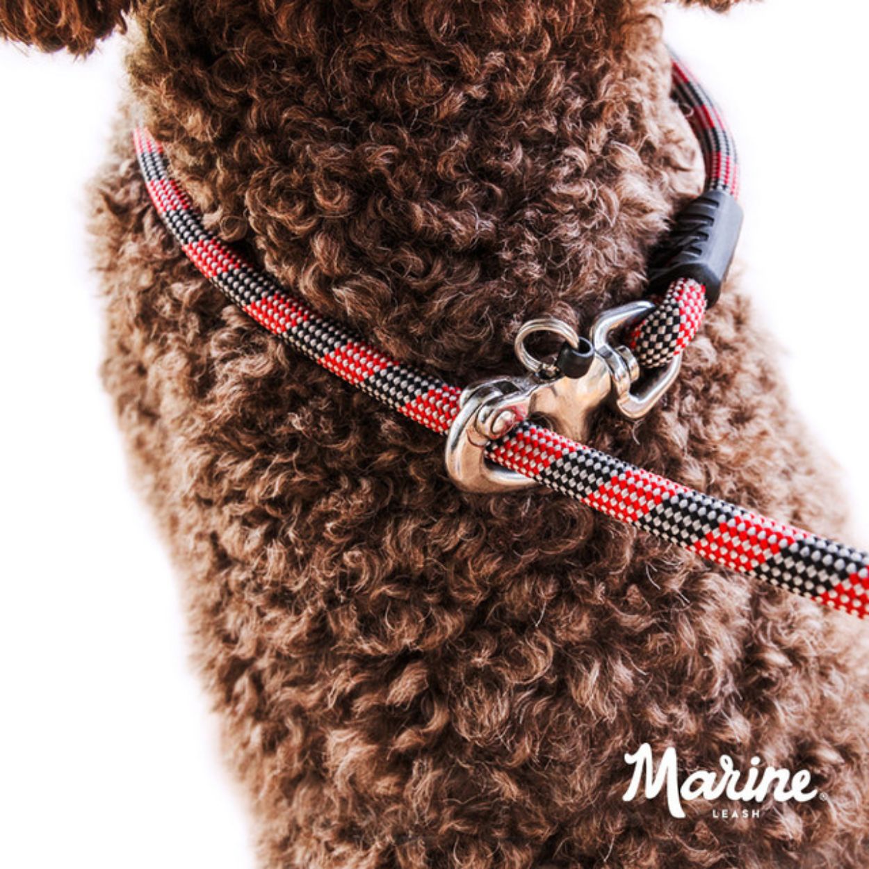 Marine rope hotsell dog leash