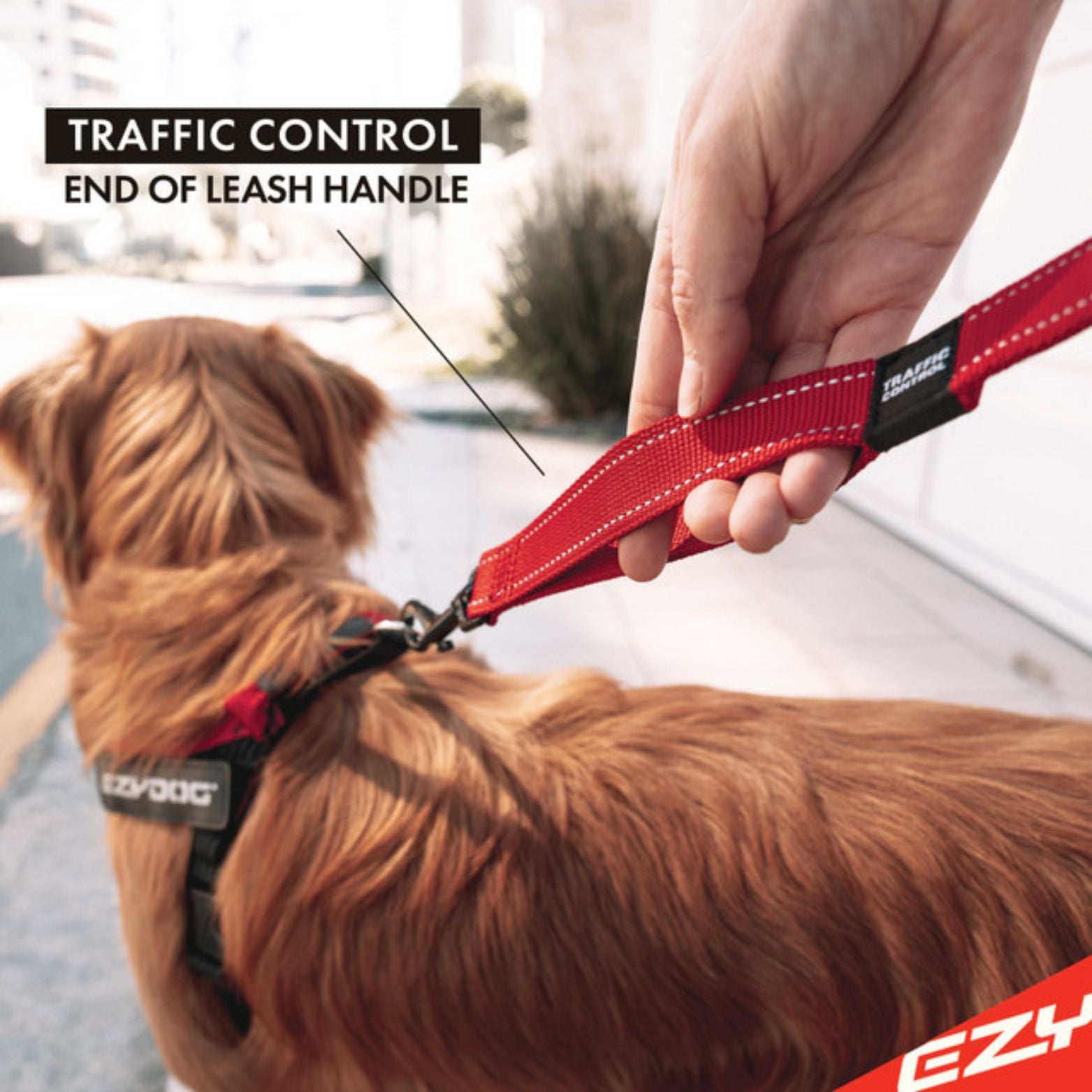 Ezydog leash clearance