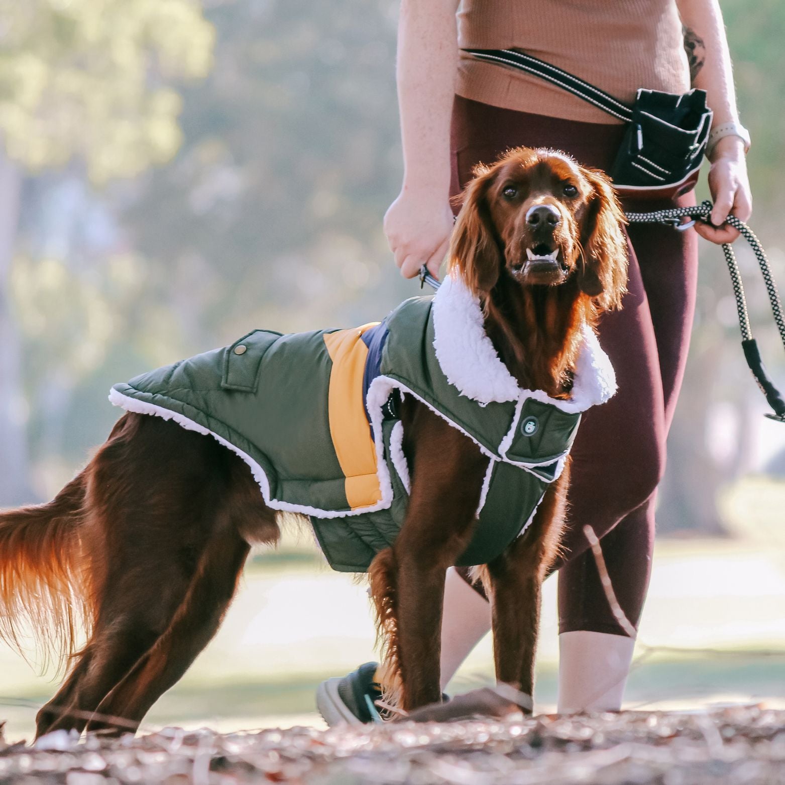 Huskimo Lightning Bolt Waterproof Dog Coat Olive Peticular