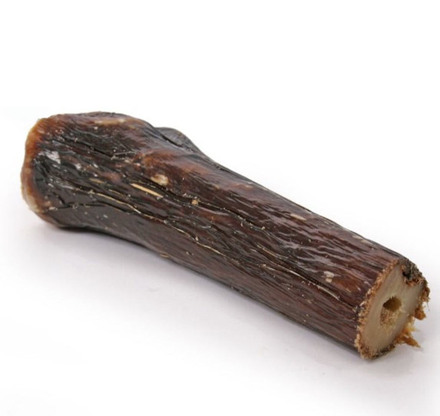 Deer hotsell shank bone