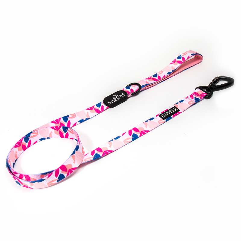 Nike clearance dog leash