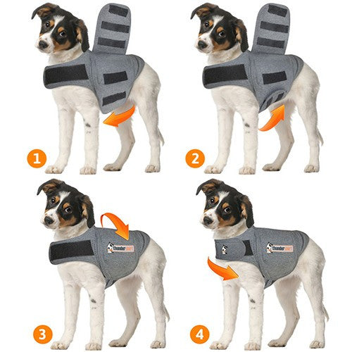 Pet valu clearance thundershirt